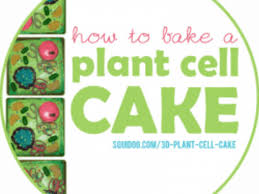 We did not find results for: 3d Plant Cell Cakes Hubpages