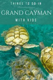12 Best Things To Do In Grand Cayman With Kids La Jolla Mom Grand Cayman Grand Cayman Island Family Travel