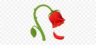 images?q=tbn:ANd9GcTggkzcijnYdHs47BAj1_CMoiuld7kIsHXZrv-vYgteq2FG2T1ikmq24ZpiEYyfxxMnTmU&usqp=CAU