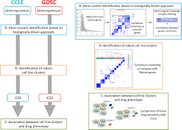 new insight for pharmacogenomics studies from the