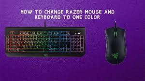 Razer huntsman elite gaming keyboard: How To Make Razer Mouse And Keyboard Just One Color Razer Synapse Youtube