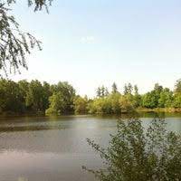Der sehr schön und natürlich bewachsene see ist wohnraum zahlreicher wasservögel und fische. Wolfgangsee Dieburg Hessen