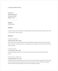 Seeking work as a cabin crew. 6 Flight Attendant Resume Templates Pdf Doc Free Premium Templates