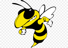 Jump to navigation jump to search. Georgia Tech Yellow Jaket Baseball Georgia Tech Yellow Jackets Sepak Bola Bobby Dodd Stadion Gambar Png
