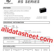 RS-SERIES Datasheet(PDF) - RAYEX ELECTRONICS CO., LTD