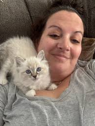 Howdy 😺 this is Cleopatra the Prettiest Girl. She persistently playful and  constantly curious. I often call her Cleo-Pap-tra because she's always  wanting to play, and she'll gently but playfully pap you