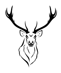 Black And White Deer Skull Tattoo Deer Skull Drawing 110650 Deer Skull Tattoo Designs Deer Skull Tattoo Deer Tattoo Antler Drawing Deer Skulls