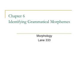 Lexical morphemes are very large in a language; Chapter 3 Lexical Grammatical Morphology Morphology Lane Ppt Download