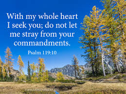 Psalm 119:10 With my whole heart I seek you; do not let me stray from your  commandments. Read today's meditation: https://prayer.forwardmovement.org/