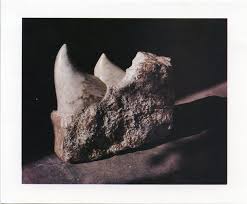 Maria Rucker — The RAiR Foundation