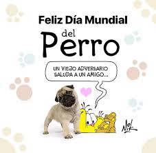 Debate sobre día internacional del perro callejero, dentro del grupo de pequeñas y grandes cosas de la vida con los 4365 integrantes de este grupo y. Nik On Twitter 21 De Julio Feliz Dia Mundial Del Perro