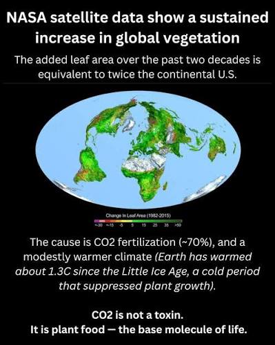 Plants respond to carbon dioxide and warmer temperatures