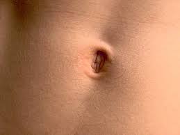 Navel Balochi Meaning Of Navel Navel | meaning in the cambridge english … navel meaning: ijunoon