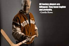 12 Motivational And Funny Hockey Quotes Hockey Quotes Funny Hockey Quotes Hockey Humor