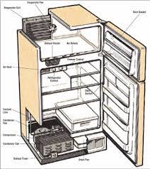 A tripped circuit means there is an electrical problem somewhere. Refrigeration And Other Appliances Theoccupantsguide