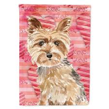 Maybe you would like to learn more about one of these? Caroline S Treasures 28 In X 40 In Polyester Love A Yorkie Yorkshire Terrier Flag Canvas House Size 2 Sided Heavyweight Ck1743chf The Home Depot