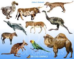 Extinct Animals Clipart Birds Clip Art Svg Clip Art Etsy In 2021 Extinct Animals Animal Clipart Animals