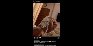 Awalnya, jt hendak menjemput anaknya yang sedang dirawat di rumah sakit tersebut. Unggah Potret Tangan Di Infus Tapi Bukan Covid 19 Ini Penyakit Ari Lasso Waspada Online Pusat Berita Dan Informasi Medan Sumut Aceh