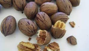 Add your own desired raw nuts, seeds, dried fruits, or spices such as cinnamon or pumpkin pie spice. Harvesting Pecans In The Texas Hill Country At Home And In Orchards