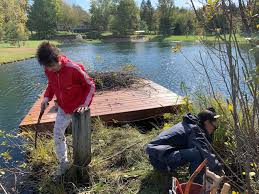 Island Project Continued Nuance Naturist Bed And Breakfast
