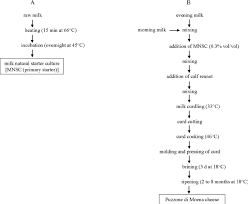 69 credible curd production flow chart