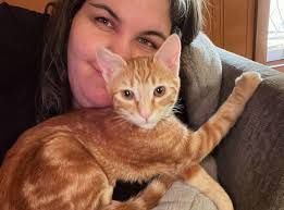 Anyone need a pet/house sitter? Rates start at $35/night. I currently have  availability February 1-15 and February 22 through early April. Those spots  will get booked. I usually stay very busy. All