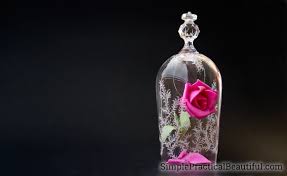 Learning english for kids teaching best in 2020 rose coloring pages stained glass rose disney stained glass. Beauty And The Beast Rose And Glass Cloche Simple Practical Beautiful