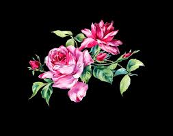 Shop a wholesale florist and save big on diy wedding our purple flowers. Best Florists Flower Delivery In Hickory Nc 2020