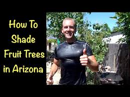 The plants on this list will grow well in at least partial shade. How I Shade The Fruit Trees In My Garden Youtube