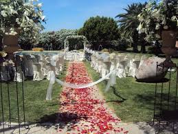 Image result for Atalaya alata