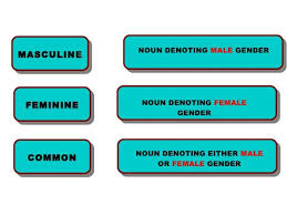 English Grammar With Bengali Classification Of Gender