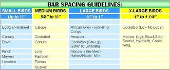 Bird Cages 4 Less Bird Cage Buying Guide