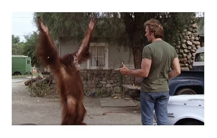 Every Which Way but Loose (1978) | Diary of A Movie Maniac
