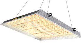 We did not find results for: Top 25 Best Led Grow Lights 2021 Mold Resistant Strains