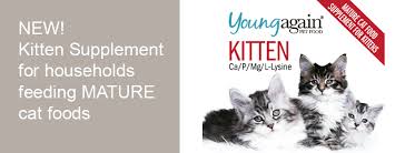 Young again zero premium high protein cat food. Young Again Pet Food Home Facebook