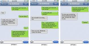 You don't want to make the wrong impression by insulting your crush so early in your relationship. Ex Pick Up Lines Funny Ways To Flirt With A Girl Over Text Glrcusa Com