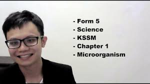 Chromosomes contain information for the inheritance of features from parents to next generation in the form of dna molecules. Form 5 Science Kssm Chapter 1 Microorganism Youtube