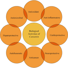 The reason for this is that nutmeg is good for the skin and is a great addition to your beauty regime. Frontiers Turmeric And Its Major Compound Curcumin On Health Bioactive Effects And Safety Profiles For Food Pharmaceutical Biotechnological And Medicinal Applications Pharmacology
