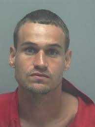 Lee County Arrests 11/3