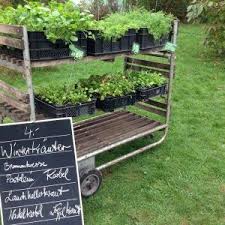 5 Winterkrauter Bio Met Afbeeldingen Postelein