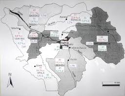 Image result for Raphidiocystis phyllocalyx