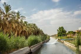 عين الجوهرية ويكيبيديا