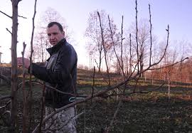 Nacido el 12 de julio de 1972) es un actor serbio. Cijeli Dan U Njivi Pa U Vece U Pozoriste Bigportal Ba