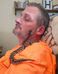 Guess the age of my ball python?