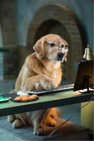 Klik tombol di bawah ini untuk pergi ke halaman website download film cats & dogs 3: Cats Dogs 3 Paws Unite I Am The Maven