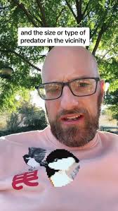 The Hidden World of Big Sagebrush: Preserving America's Ecosystems