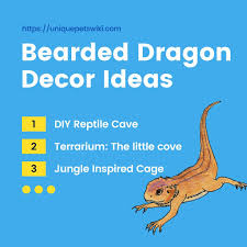 Bearded dragons are mostly sociable animals. 11 Different Ideas Diy Decor Your Bearded Dragon Reptiles