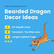 If you have a waste small wooden covered in your house then take it and start working on it. 11 Different Ideas Diy Decor Your Bearded Dragon Reptiles