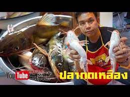 ต มปลากดเหล อง ป งปลากด ตำแตงโครตเเซป youtube