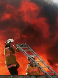 Image result for Fire Red 1995 Fleet